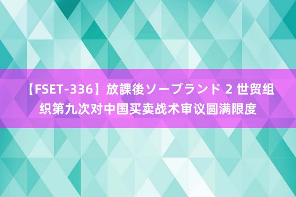   【FSET-336】放課後ソープランド 2 世贸组织第九次对中国买卖战术审议圆满限度