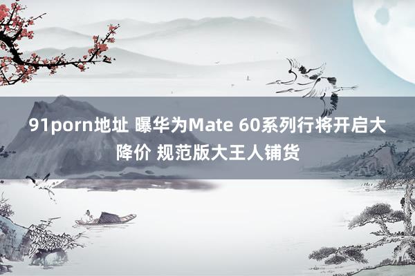   91porn地址 曝华为Mate 60系列行将开启大降价 规范版大王人铺货