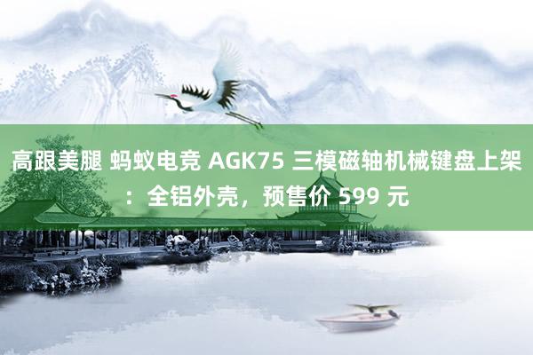 高跟美腿 蚂蚁电竞 AGK75 三模磁轴机械键盘上架：全铝外壳，预售价 599 元