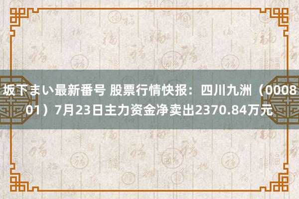 坂下まい最新番号 股票行情快报：四川九洲（000801）7月23日主力资金净卖出2370.84万元