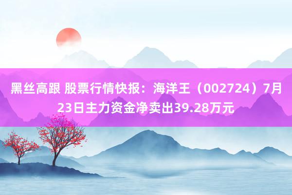 黑丝高跟 股票行情快报：海洋王（002724）7月23日主力资金净卖出39.28万元