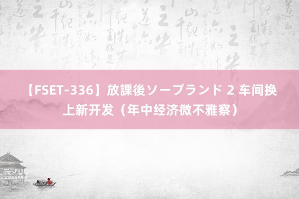 【FSET-336】放課後ソープランド 2 车间换上新开发（年中经济微不雅察）