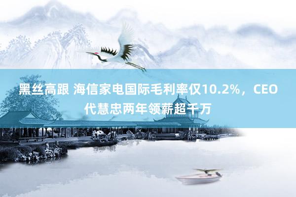 黑丝高跟 海信家电国际毛利率仅10.2%，CEO代慧忠两年领薪超千万