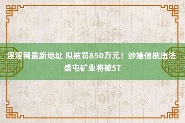 淫淫网最新地址 拟被罚850万元！涉嫌信披违法 盛屯矿业将被ST