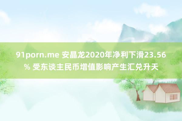 91porn.me 安晶龙2020年净利下滑23.56% 受东谈主民币增值影响产生汇兑升天