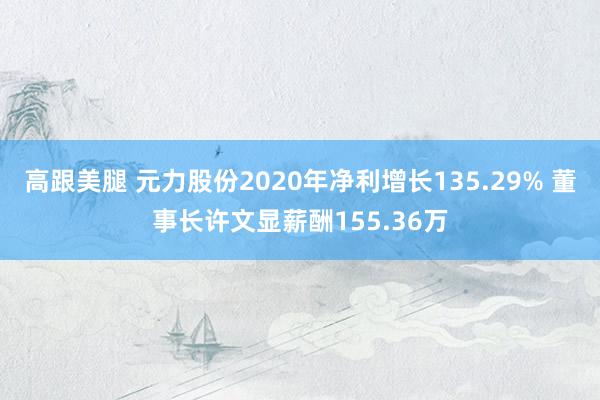   高跟美腿 元力股份2020年净利增长135.29% 董事长许文显薪酬155.36万