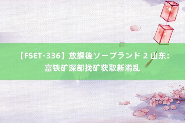 【FSET-336】放課後ソープランド 2 山东：富铁矿深部找矿获取新淆乱