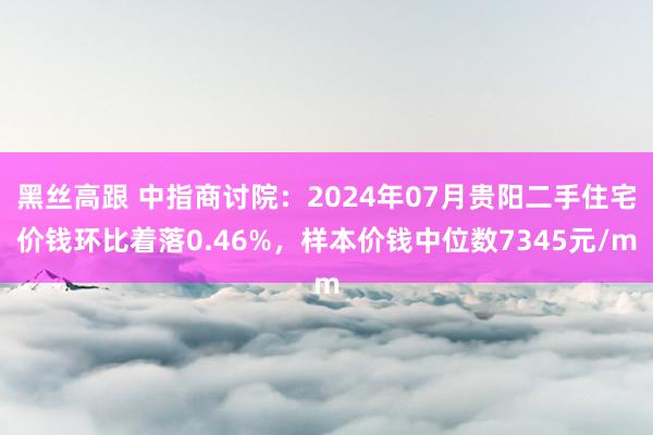 黑丝高跟 中指商讨院：2024年07月贵阳二手住宅价钱环比着落0.46%，样本价钱中位数7345元/m