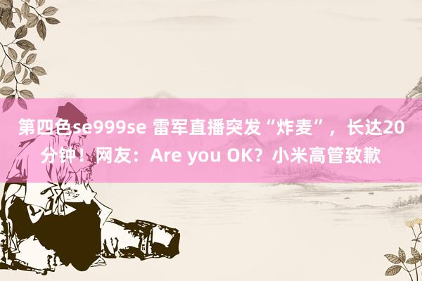 第四色se999se 雷军直播突发“炸麦”，长达20分钟！网友：Are you OK？小米高管致歉