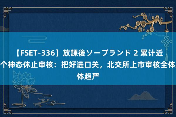   【FSET-336】放課後ソープランド 2 累计近200个神态休止审核：把好进口关，北交所上市审核全体趋严