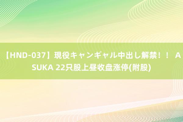   【HND-037】現役キャンギャル中出し解禁！！ ASUKA 22只股上昼收盘涨停(附股)