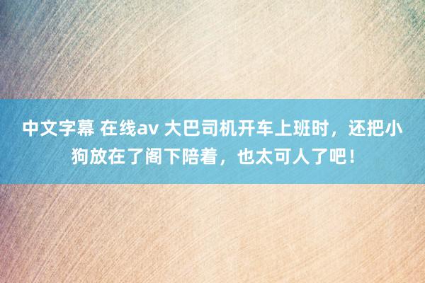 中文字幕 在线av 大巴司机开车上班时，还把小狗放在了阁下陪着，也太可人了吧！