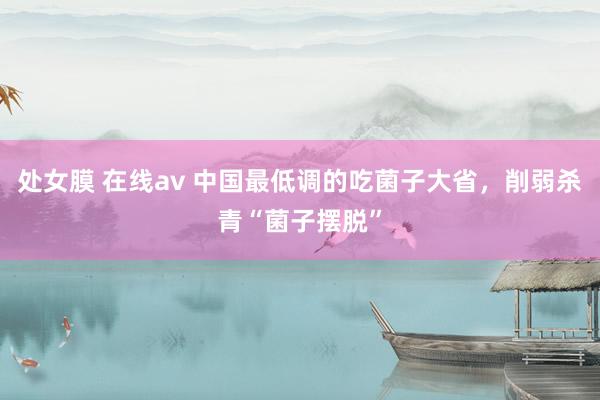 处女膜 在线av 中国最低调的吃菌子大省，削弱杀青“菌子摆脱”