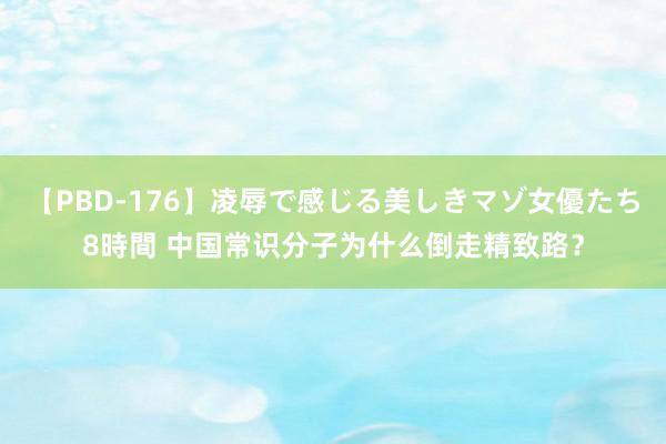   【PBD-176】凌辱で感じる美しきマゾ女優たち8時間 中国常识分子为什么倒走精致路？