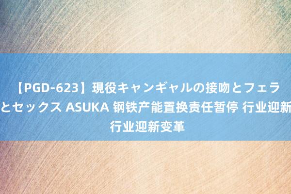 【PGD-623】現役キャンギャルの接吻とフェラチオとセックス ASUKA 钢铁产能置换责任暂停 行业迎新变革