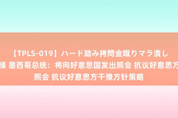 【TPLS-019】ハード踏み拷問金蹴りマラ潰し処刑 JUN女王様 墨西哥总统：将向好意思国发出照会 抗议好意思方干豫方针策略