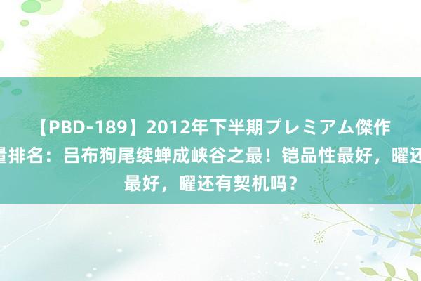   【PBD-189】2012年下半期プレミアム傑作選 别传数量排名：吕布狗尾续蝉成峡谷之最！铠品性最好，曜还有契机吗？